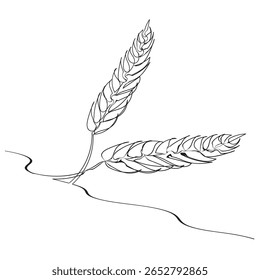 Continuous one line drawing of wheat. Barley or Rye outline vector illustration. Editable stroke.