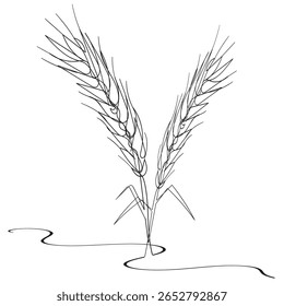 Continuous one line drawing of wheat. Barley or Rye outline vector illustration. Editable stroke.
