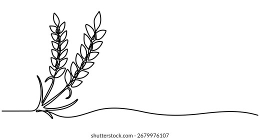  Um desenho contínuo de uma linha de trigo. Ilustração vetorial de contorno de cevada ou centeio. Traçado editável. 