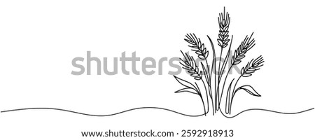 Continuous one line drawing of wheat. Barley or Rye outline vector illustration. One continuous line of wheat
