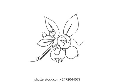 Dibujo continuo de una línea de arándanos orgánicos enteros saludables para la identidad del logotipo del huerto. Concepto de fruta de baya azul fresca para el icono de jardín de frutas. Ilustración gráfica de Vector de diseño de línea simple