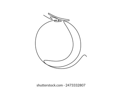 Continuous one line drawing of whole freshness healthy organic sweet melon for orchard logo identity. Fresh fruitage concept for fruit garden icon. Single line draw design vector graphic illustration