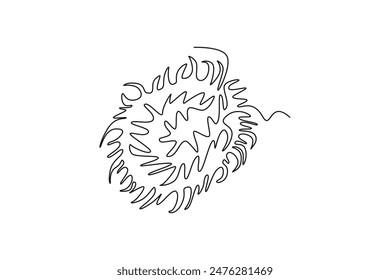 Continuous one line drawing whole healthy sweet organic rambutans for orchard logo identity. Fresh tropical fruitage concept for fruit garden icon. Single line draw design vector graphic illustration