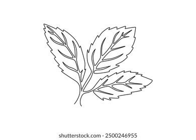 Continuous one line drawing of whole healthy freshness organic mint leaves for farm logo identity. Fresh menthol plant concept for plantation icon. Single line draw design vector graphic illustration