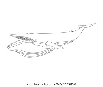 Continuous one line drawing wild blue whale fish. One line drawing illustration of blue whale fish. Marine animal concept continuous line art. Editable outline.