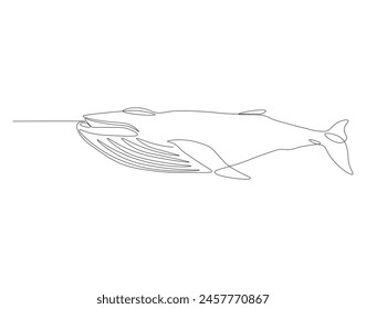 Continuous one line drawing wild blue whale fish. One line drawing illustration of blue whale fish. Marine animal concept continuous line art. Editable outline.