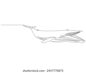 Continuous one line drawing wild blue whale fish. One line drawing illustration of blue whale fish. Marine animal concept continuous line art. Editable outline.