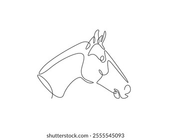 Continuous one line drawing of wild horse head. Stallion head single line art. Editable vector. 