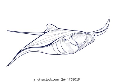 Continuous one line drawing wild blue whale fish. One line drawing illustration of blue whale fish. Marine animal concept continuous line art. Editable outline.
