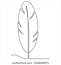 Continuous one line feather single line art vector illustration