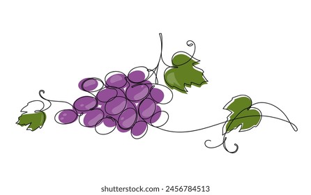 Continuous one line of grape bunch on white background. Vine. Hand drawn minimalistic design for logo, icon or emblem.