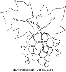 Continuous one line of grape bunch on white background. Vine. Hand drawn minimalistic design for logo, icon or emblem. Continuous drawing without artificial intelligence
