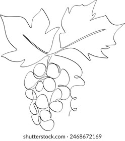 Continuous one line of grape bunch on white background. Vine. Hand drawn minimalistic design for logo, icon or emblem. Continuous drawing without artificial intelligence
