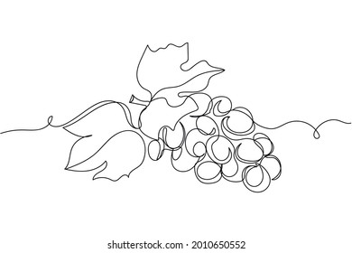 Continuous one line of grapes organic food in silhouette on a white background. Linear stylized.Minimalist.
