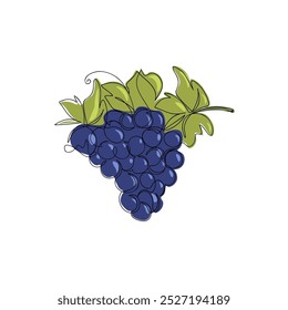 Continuous one line of grapes in silhouette. Linear stylized sketch of bunch of fruits for logo, emblem, tattoo, poster, print. Vector continuous drawing.