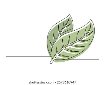 Continuous one line green cacao leaves isolated on white background. Simple vegetable silhouette. Hand drawn cacao leaves outline. Vector illustration
