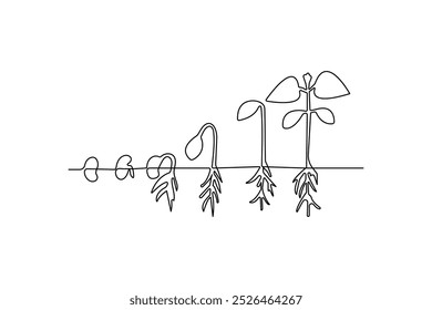 Dibujo continuo del proceso de la planta del crecimiento de una línea del icono del Vector del contorno