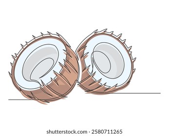 Continuous one line halves brown coconuts isolated on white background. Simple vegetable silhouette. Hand drawn coconuts outline. Editable stroke. Vector illustration