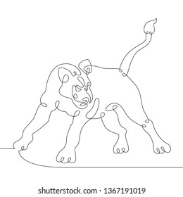 Continuous one line hand drawing lioness lion .Wild african safari animal.
