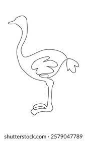 Continuous one line hand drawing of an ostrich isolated on white background, Vector illustration, Editable stroke	