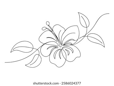 Continuous One Line Hibiscus Flower | Minimalist Floral Vector Illustration