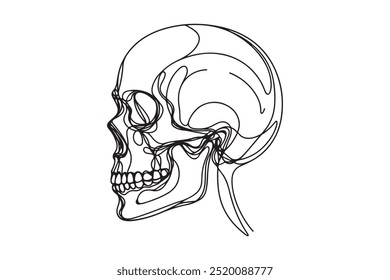 Uma linha contínua de crânio anatômico humano, ilustração vetorial.