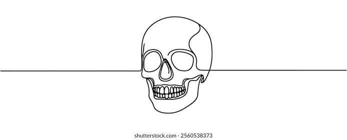 Continuous one line human anatomical skull, vector illustration.