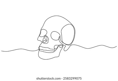 Continuous one line human anatomical skull vector illustration, Single continuous line drawing black and white illustration of skull human head bone.