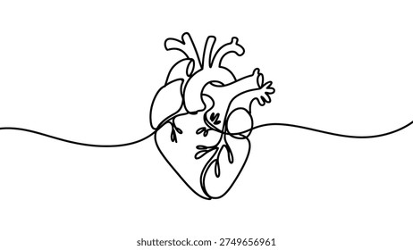Continuous One Line Human Heart Anatomy Illustration Minimal Medical Cardiology Organ Drawing Healthcare Line Art Design