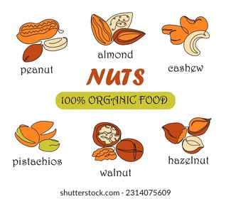 Continuous one line nuts. Organic food. Monoline walnuts and pistachios. Healthy snacks. Minimal drawing hazelnuts or peanuts. Diet ingredients. Natural cashew and almonds. banner