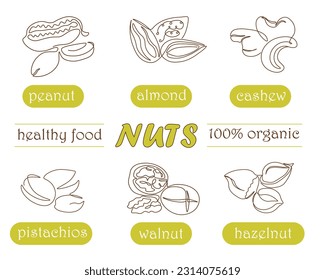 Nueces continuas de una línea. Comida orgánica. Nueces de monolina o pistachos. Aperitivos saludables. Dibujo de avellanas o cacahuetes. Ingredientes dietéticos. El anacardo natural y las almendras. banner de esbozo