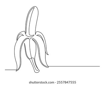 Continuous one line of opened banana isolated on white background. Simple silhouette of fruit. Hand drawn banana outline. Vector illustration