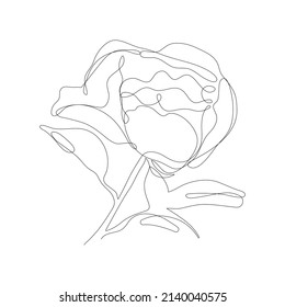 Continuous one line pion flower. Dark contour on white background. Simple flower outline. Vector illustration.