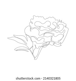 Continuous one line pion flower. Dark contour on white background. Simple flower outline. Vector illustration.