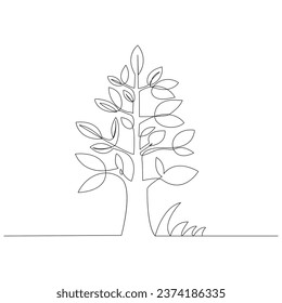 Continuous one line plant growth tree outline vector art drawing