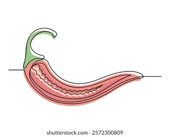 Continuous one line red сhili pepper in section isolated on white background. Simple silhouette of vegetable. Hand drawn chili pepper outline. Vector illustration