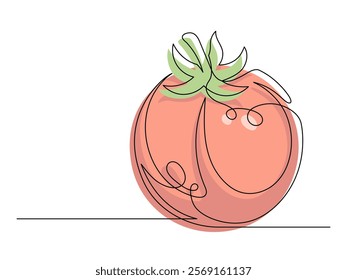 Continuous one line red tomato isolated on white background. Simple vegetable silhouette. Hand drawn tomato outline. Vector illustration