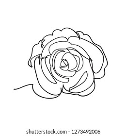 Continuous one line of rose drawing on white background. vector illustration for banner, poster, web, template, valentine's card, wedding.