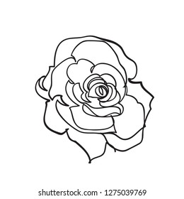 Continuous one line of rose drawing on white background. vector illustration for banner, poster, web, template, valentine's card, wedding.