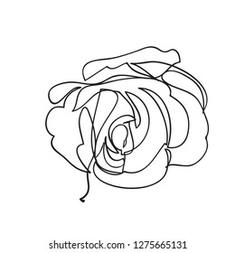 Continuous one line of rose drawing on white background. vector illustration for banner, poster, web, template, valentine's card, wedding.