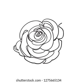 Continuous one line of rose drawing on white background. vector illustration for banner, poster, web, template, valentine's card, wedding.