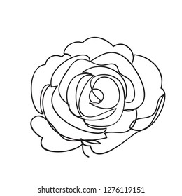 Continuous one line of rose drawing on white background. vector illustration for banner, poster, web, template, valentine's card, wedding.