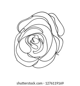 Continuous one line of rose drawing on white background. vector illustration for banner, poster, web, template, valentine's card, wedding.