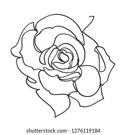 Continuous one line of rose drawing on white background. vector illustration for banner, poster, web, template, valentine's card, wedding.