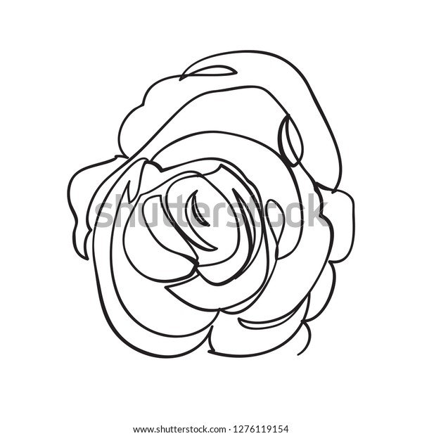 traditional rose drawing outline