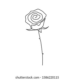 Continuous one line rose flower. Stock vector illustration.