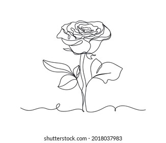 Continuous one line of rose flower in silhouette on a white background. Linear stylized.Minimalist.