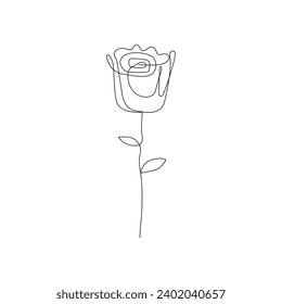 Continuous one line rose flower drawing and single  outline vector  art  illustration