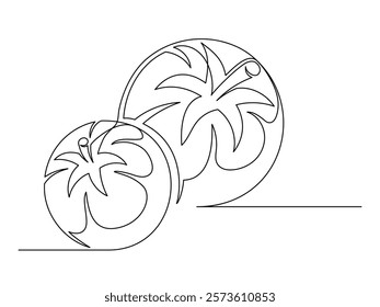 Continuous one line several tomato isolated on white background. Simple vegetable silhouette. Hand drawn tomato outline. Vector illustration