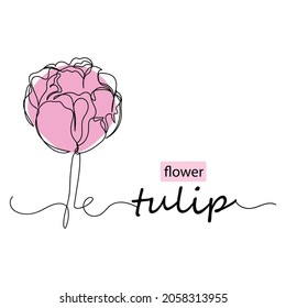 Continuous one line single drawing of tulip flower in silhouette on a white background. Linear stylized.